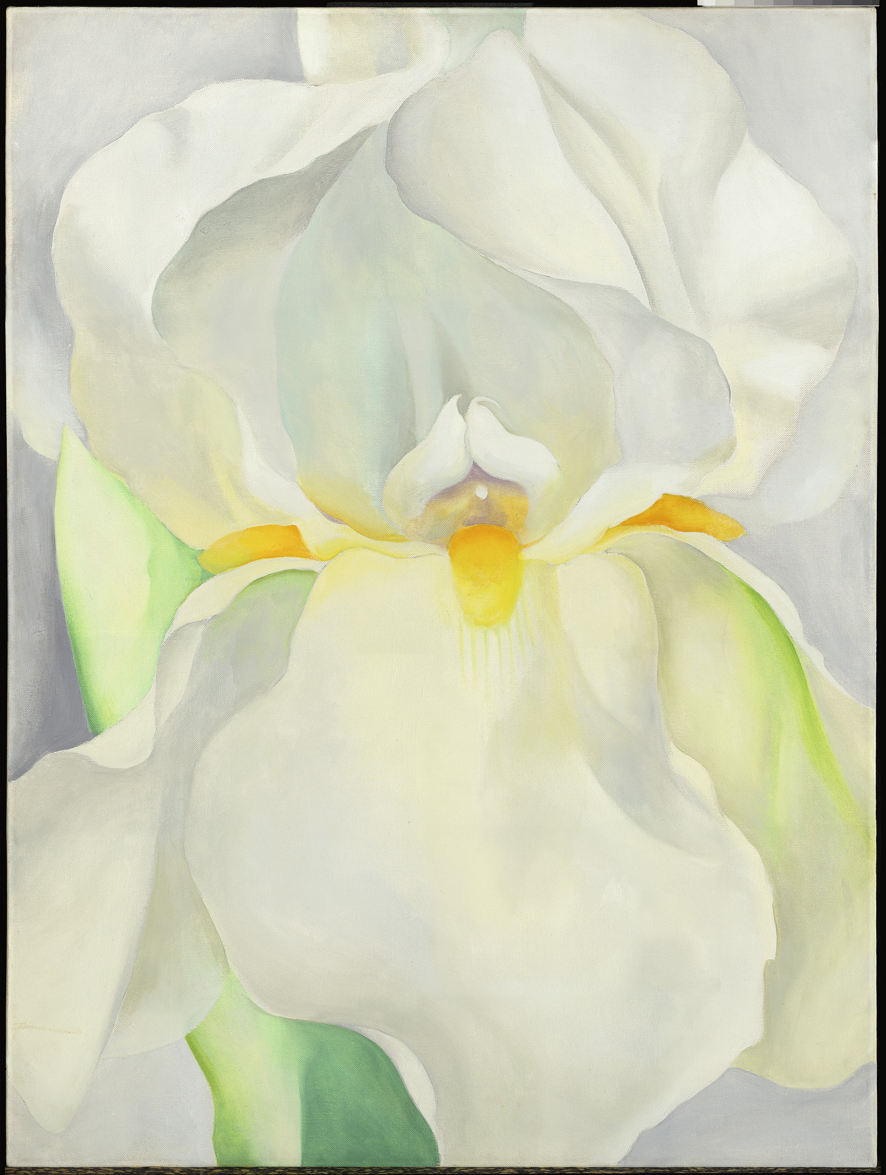 White Iris No. 7 - O'Keeffe, Georgia. Museo Nacional Thyssen